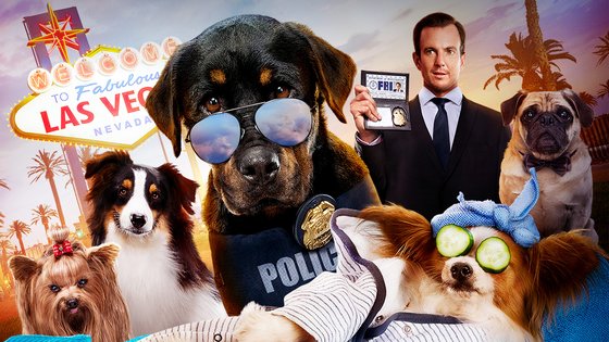 Chien Sous Enquete Film Streaming Chiens sous enquête - Film - illico.tv